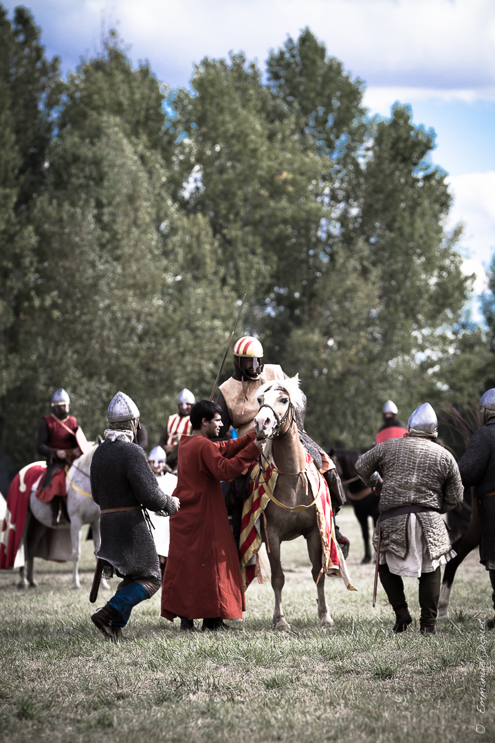 Muret 1213 2013 (56 sur 63)